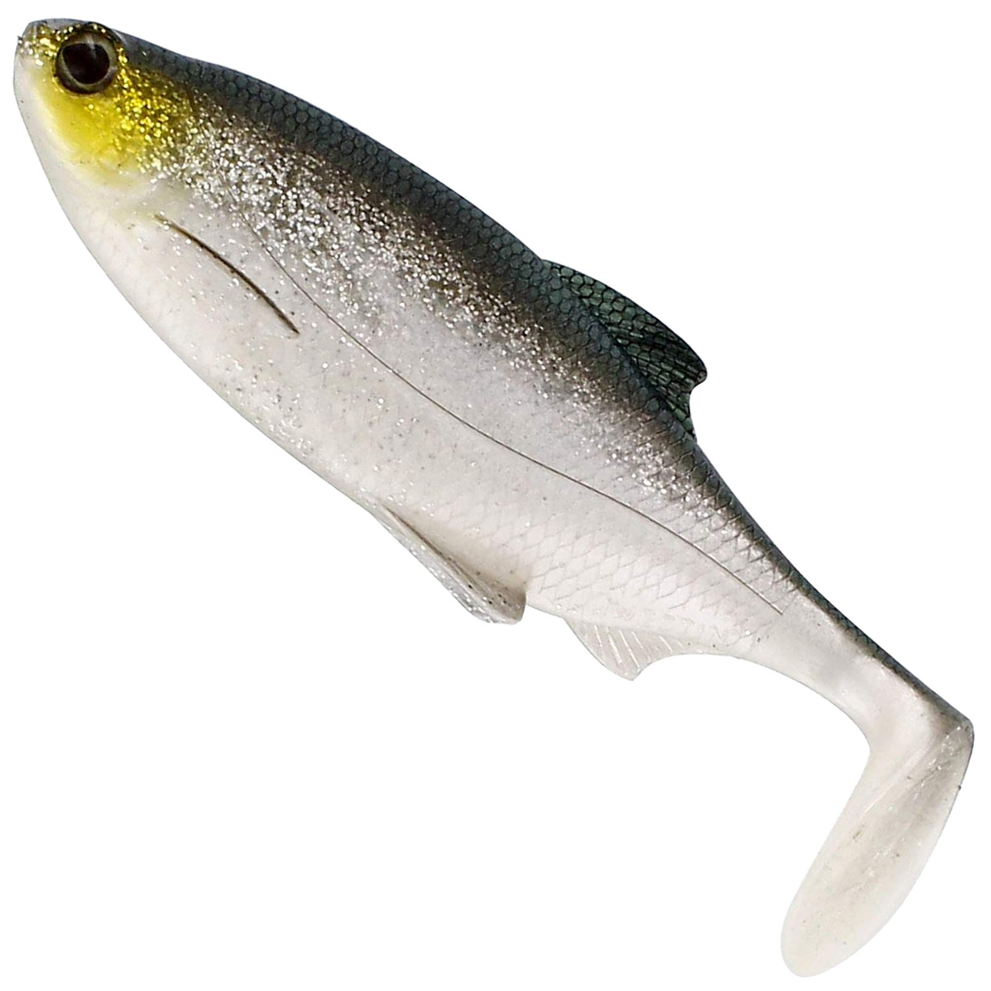 WestinRicky The Roach rubber fish for spin fishing, rubber bait for spin fishing for pike, zander, perch and trout, shad