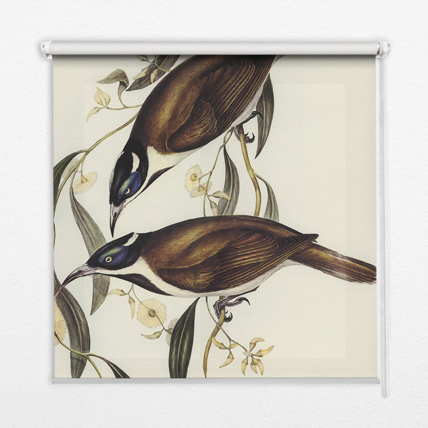 Store banne enrouleur oiseaux pour chambre d'enfant sans percage