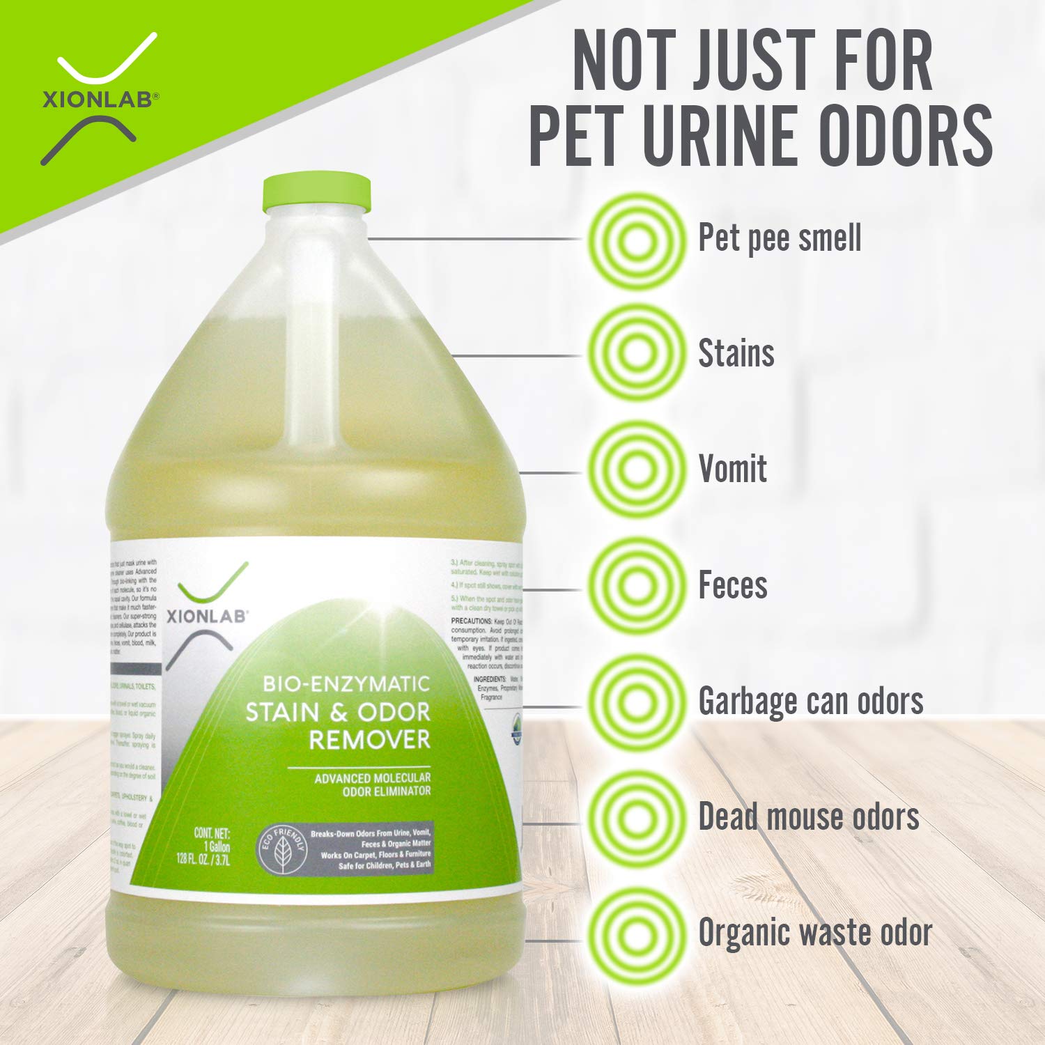 Xionlab Professional Stain Remover & Pet Odor Eliminator for Home for