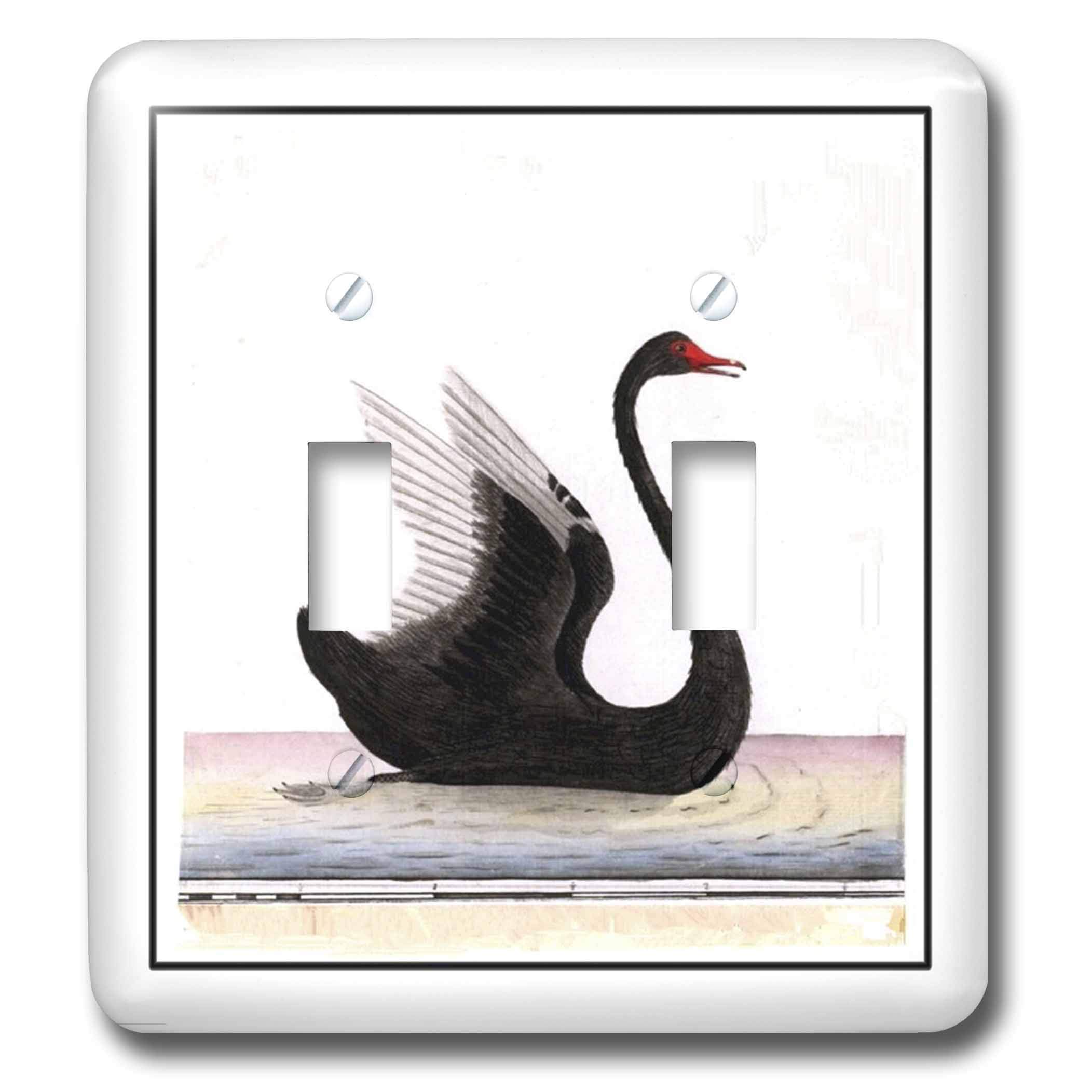 Art Deco Black Swan Interrupteur à baïonnette pour sublimer une pièce sombre