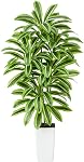 Artificial Dracaena Tree, 6FT Fake Potted Tree with White Planter | Faux Yucca Floor Plant with Natural Wood Trunk & Realistic Green Leaves for Indoor Home Office Living Room Bedroom Decor