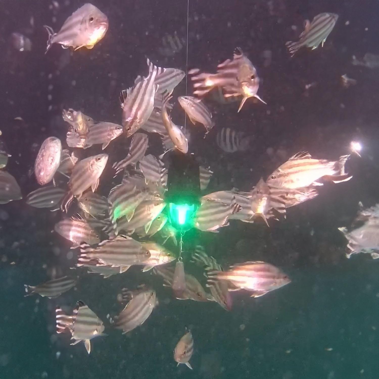 KANAMA Luz de Pesca Inteligente – Ondas Sonoras Submarinas para Atraer Peces, Encendido/Apagado Auto con Sensor, Impermeable 300 M, Carga Magnética – Pesca Nocturna, Luz Atrae Peces, Pesca en Hielo