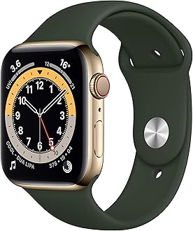 New Apple Watch Series 6 (GPS + Cellular, 44mm) - Gold Stainless Steel Case with Cyprus Green Sport Band