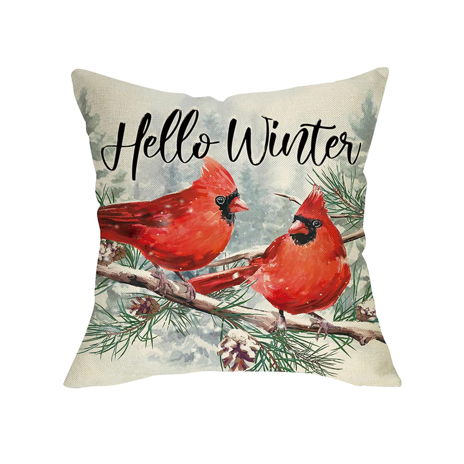 Fjfz Hello Winter Cardinal Decorative Throw Pillow Cover 20 x 20 Xmas Red Birds Branches Porch Outdoor Home
