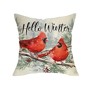 Fjfz Hello Winter Cardinal Decorative Throw Pillow Cover 20 x 20 Xmas Red Birds Branches Porch Outdoor Home