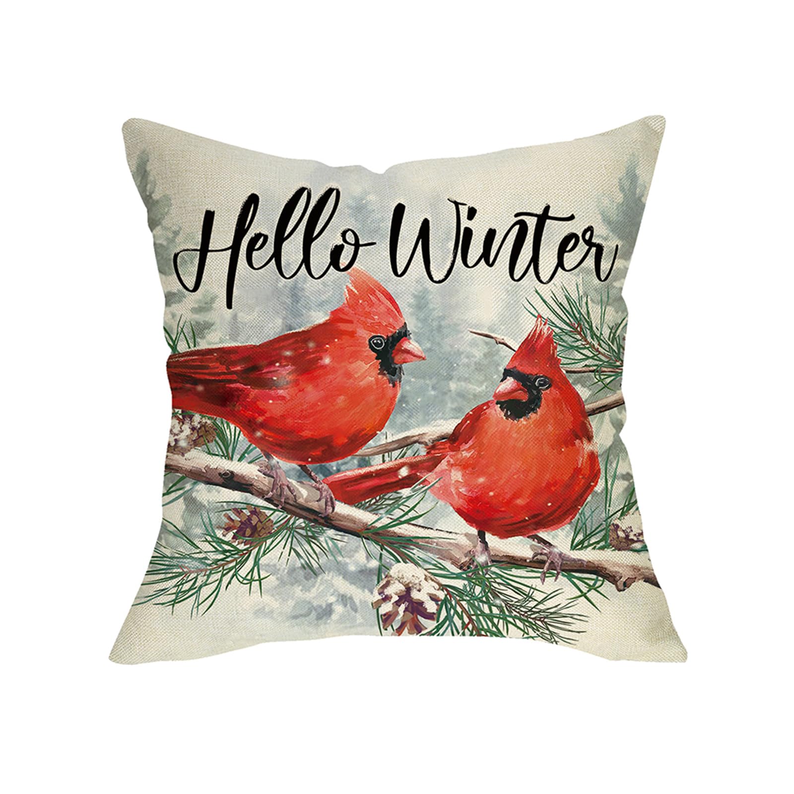 Fjfz Hello Winter Cardinal Decorative Throw Pillow Cover 20 x 20 Xmas Red Birds Branches Porch Outdoor Home