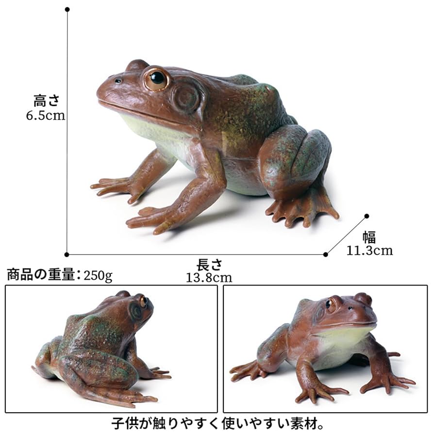 カエルのフィギュア 楽天市場】動物 リアル カエル フィギュア 立体図鑑 フロッグ