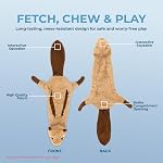Best Pet Supplies 2-in-1 Fun Skin Stuffless Dog Squeak Toy, Small, Squirrel