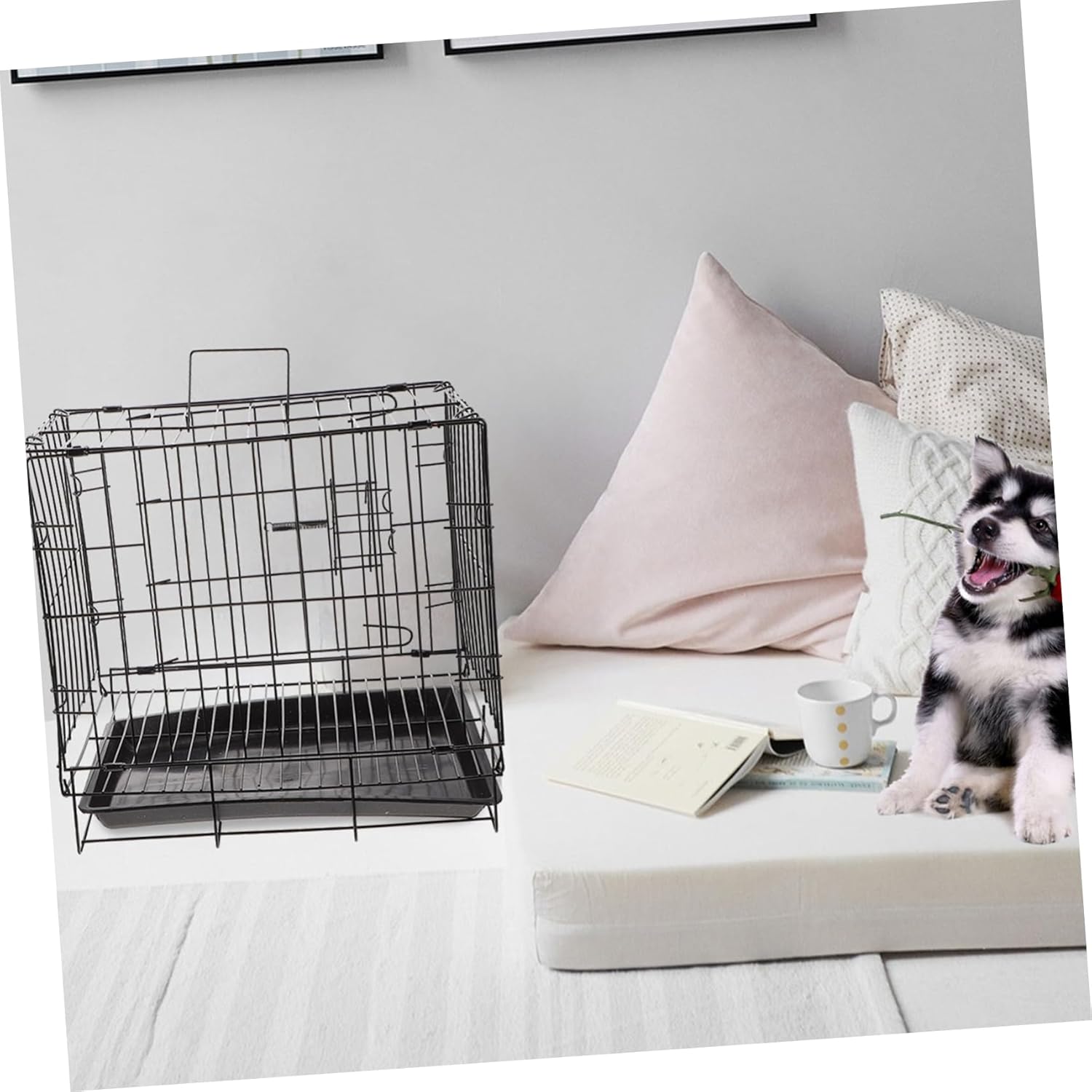 Foldable Pet Iron Crate for Small to Medium Dogs Heavy Duty Wire Kennel with Removable Washable Tray Easy Assembly and Storage Indoor Dog Cage for Secure Comfortable Shelter