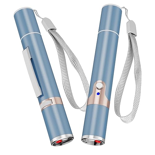 Lzonunl 2 Pieces Cat Toy, USB Rechargeable, Long Range 5 Modes, Interactive Kitten Dog Cat Mouse Toy for Indoor (Sky Blue - Sky Blue