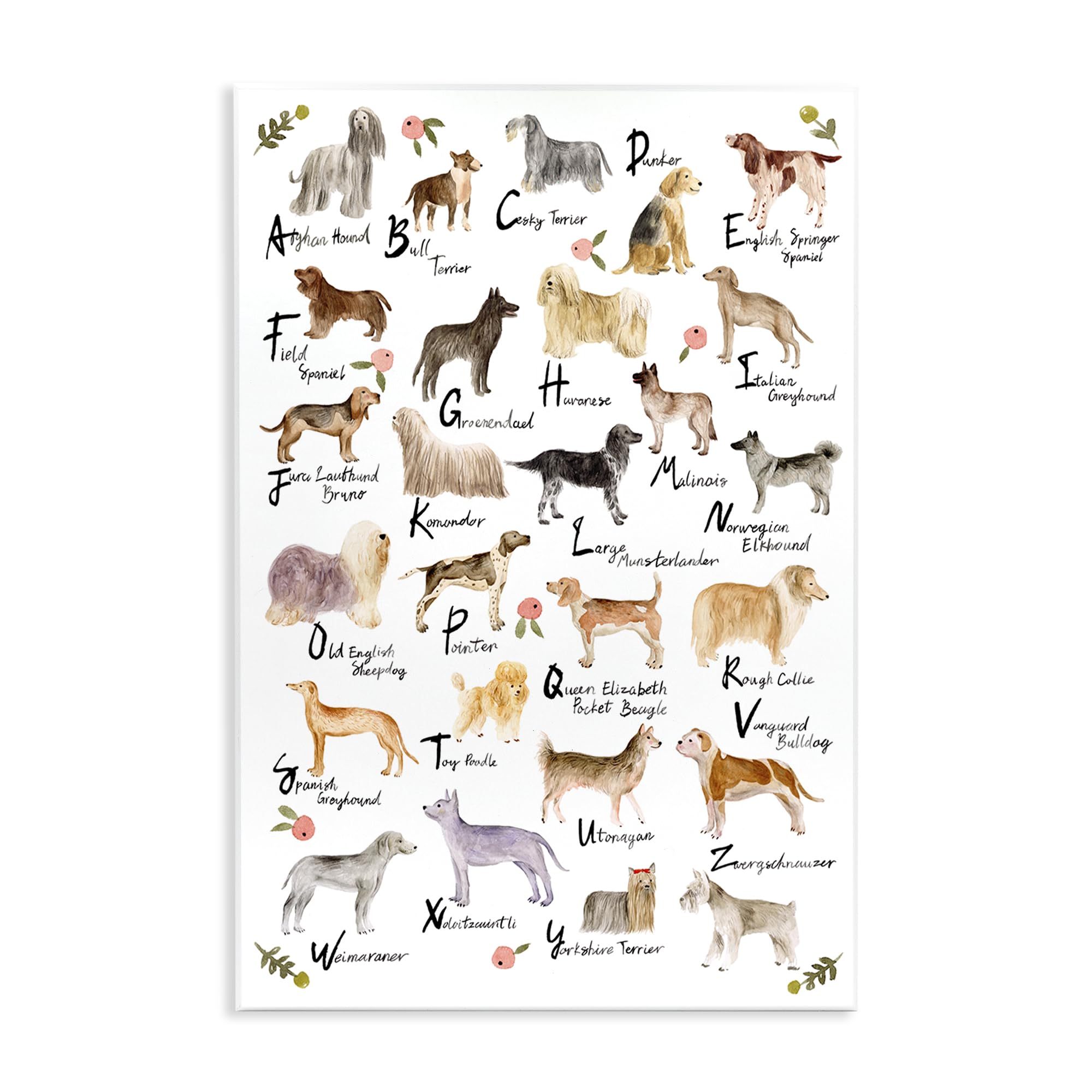 Dog Alphabet Floral Nursery, 13 x 19 Inch Mounted Print on Wall Plaque