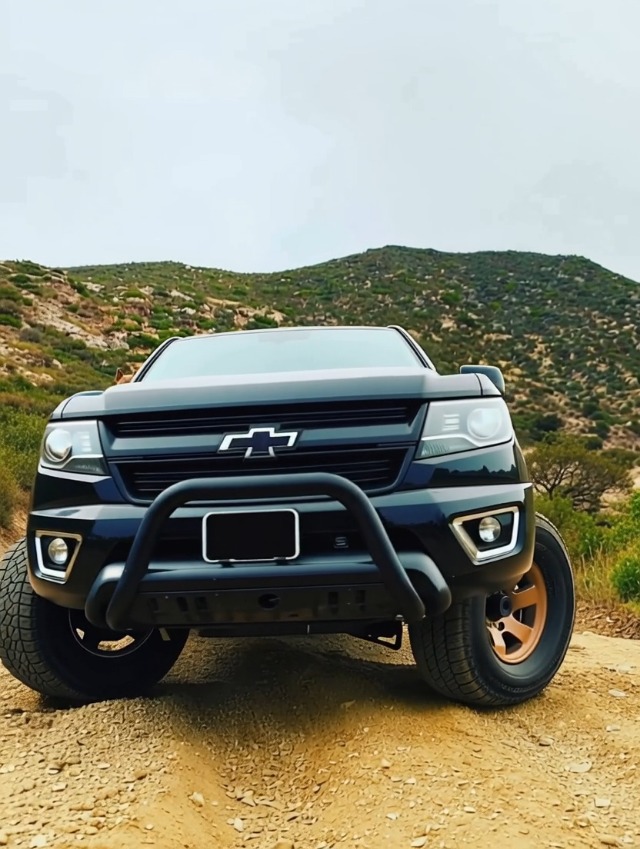Amazon.com: Black Horse Bull Bar Skid Plate Black Compatible with