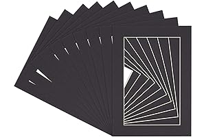 Double Mat Board 20x30 for 24x36 Picture Frames - Preservation Quality Black...