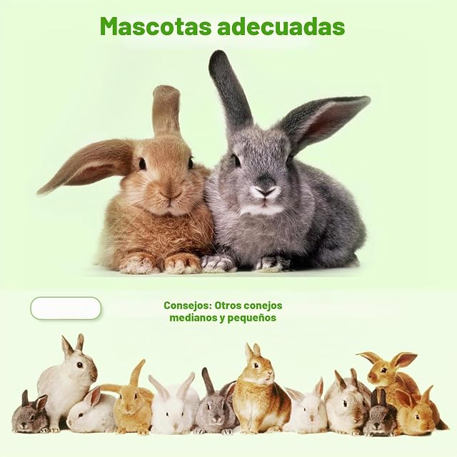 Foto 6 de 7 de Nobleza - Pienso Premium para Conejos Adultos (4 * 700g), Alimento Sano y Sabroso para Conejos, Desgaste…