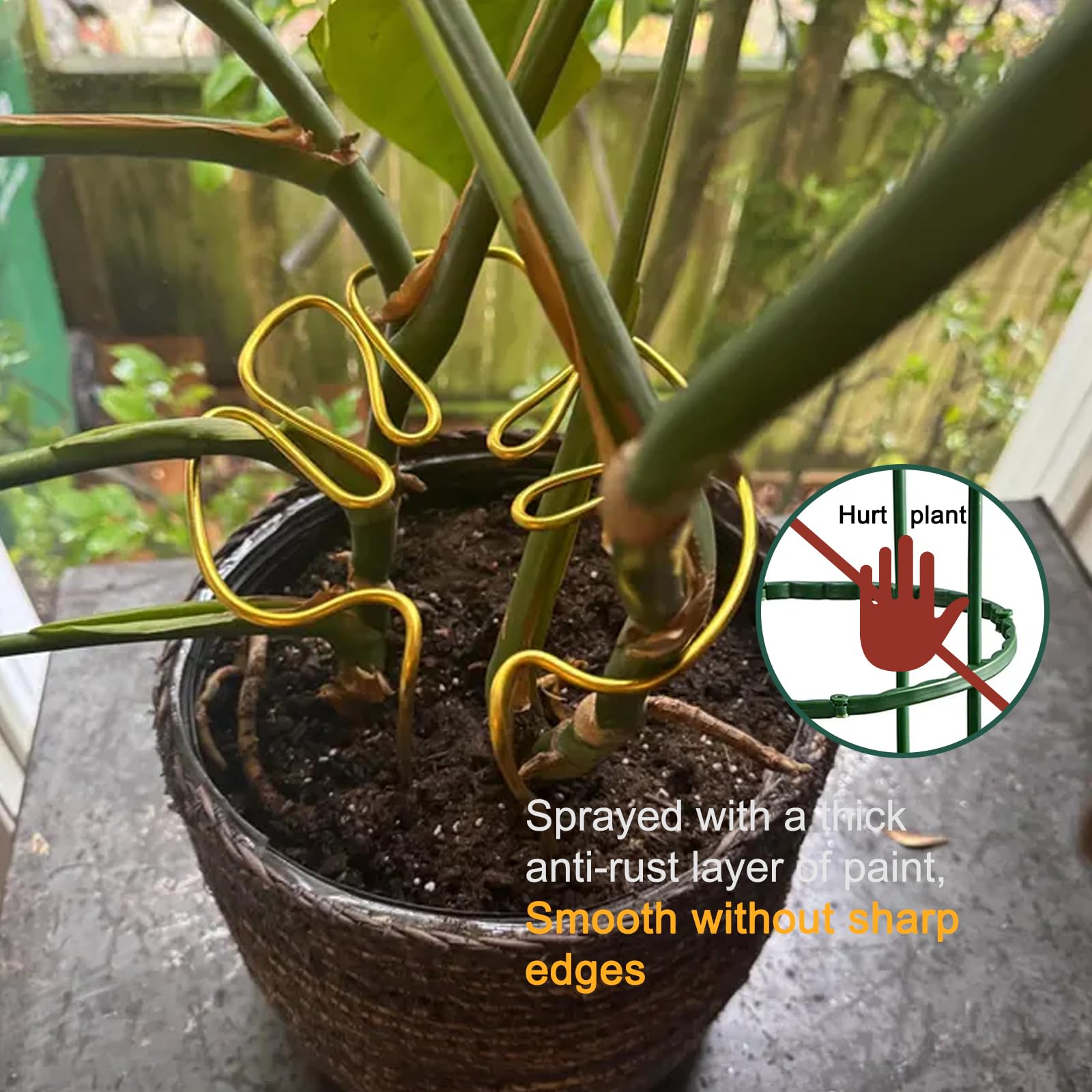 Amazon.com : BETEAM Monstera Plant Support 3mm Metal Heavy Stem Supports  Large Pothos Stakes for Indoor Plants Accessories Trellis-03 Black:  3mm+Large+Rod : Patio, Lawn & Garden