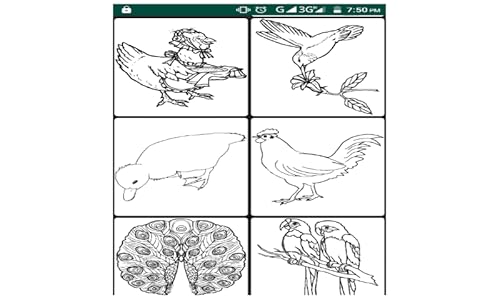 Birds Coloring Pages App