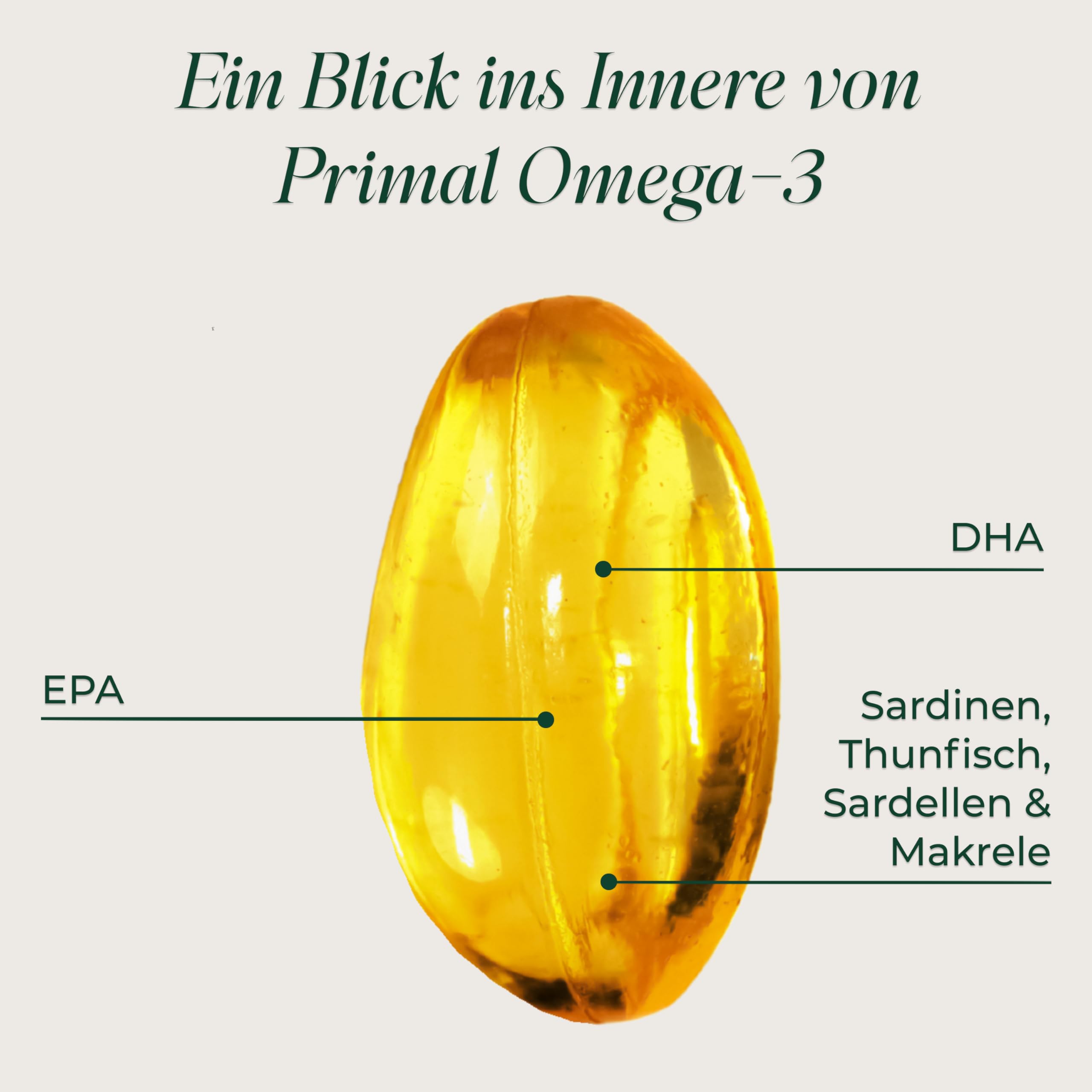Primal Omega-3 – Tägliches Supplement, gluten- & milchfrei