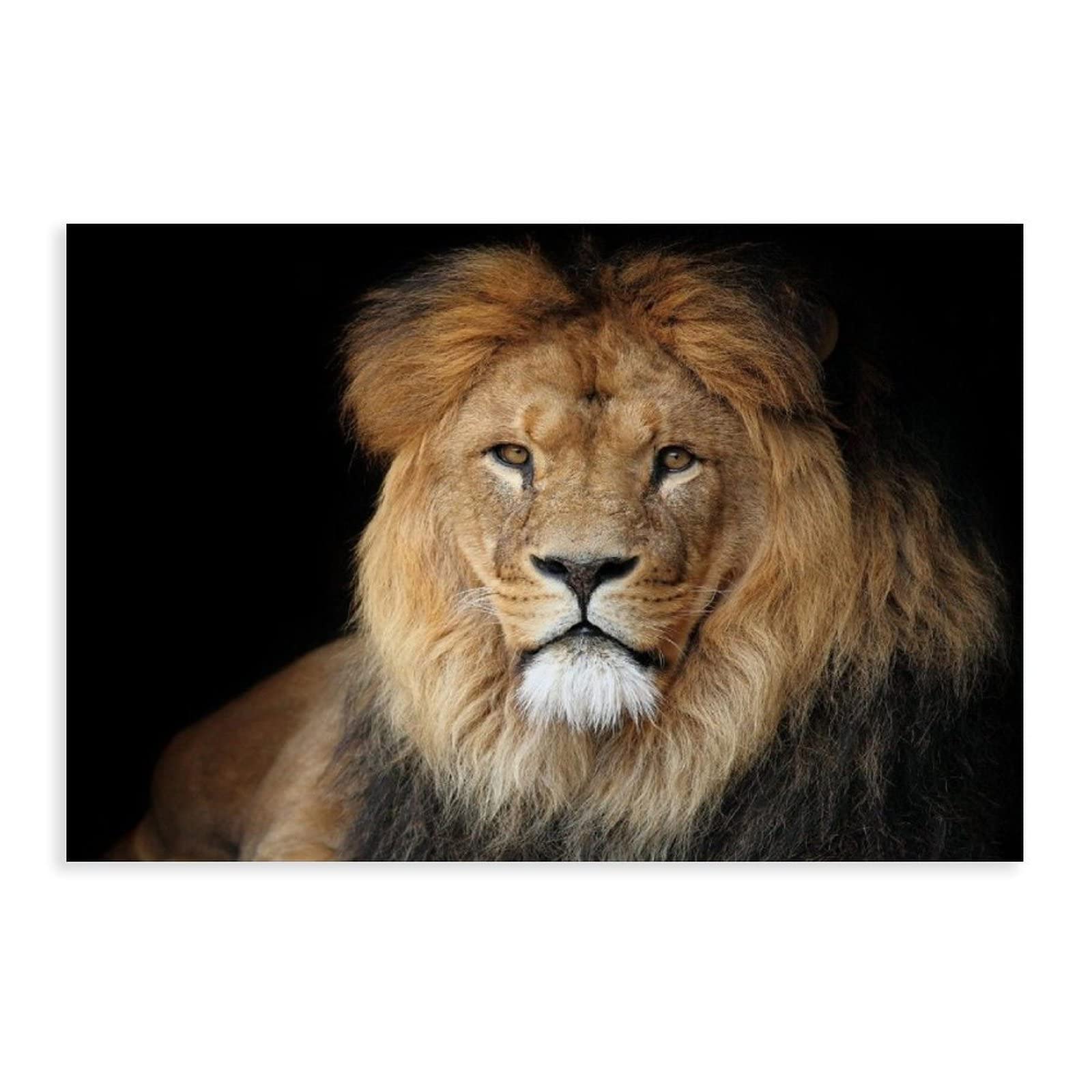 Canvas Print Wall Art Black Background Lion Picture Prints Canvas Poster Bedroom Decor Sports Landscape Office Room Decor Gift Unframe-style 16x24inch(40x60cm)