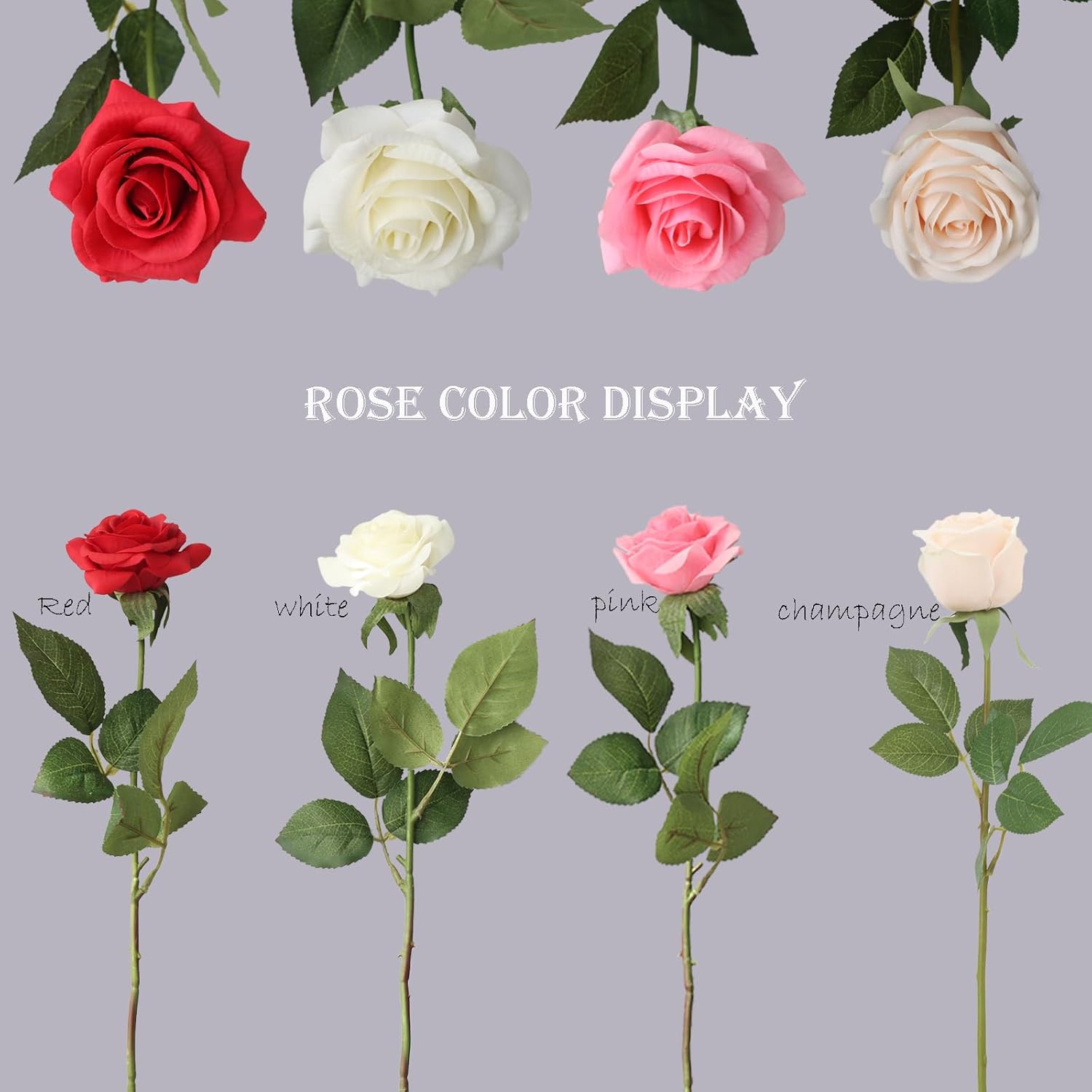 Buart Artificial Silk Flowers Real Touch Realistic Roses Bouquet Long Stem for Home Wedding Party Valentine's Day Mother's Day Table Centerpieces Decorations (Champagne,8 Flower Head) - Image 8