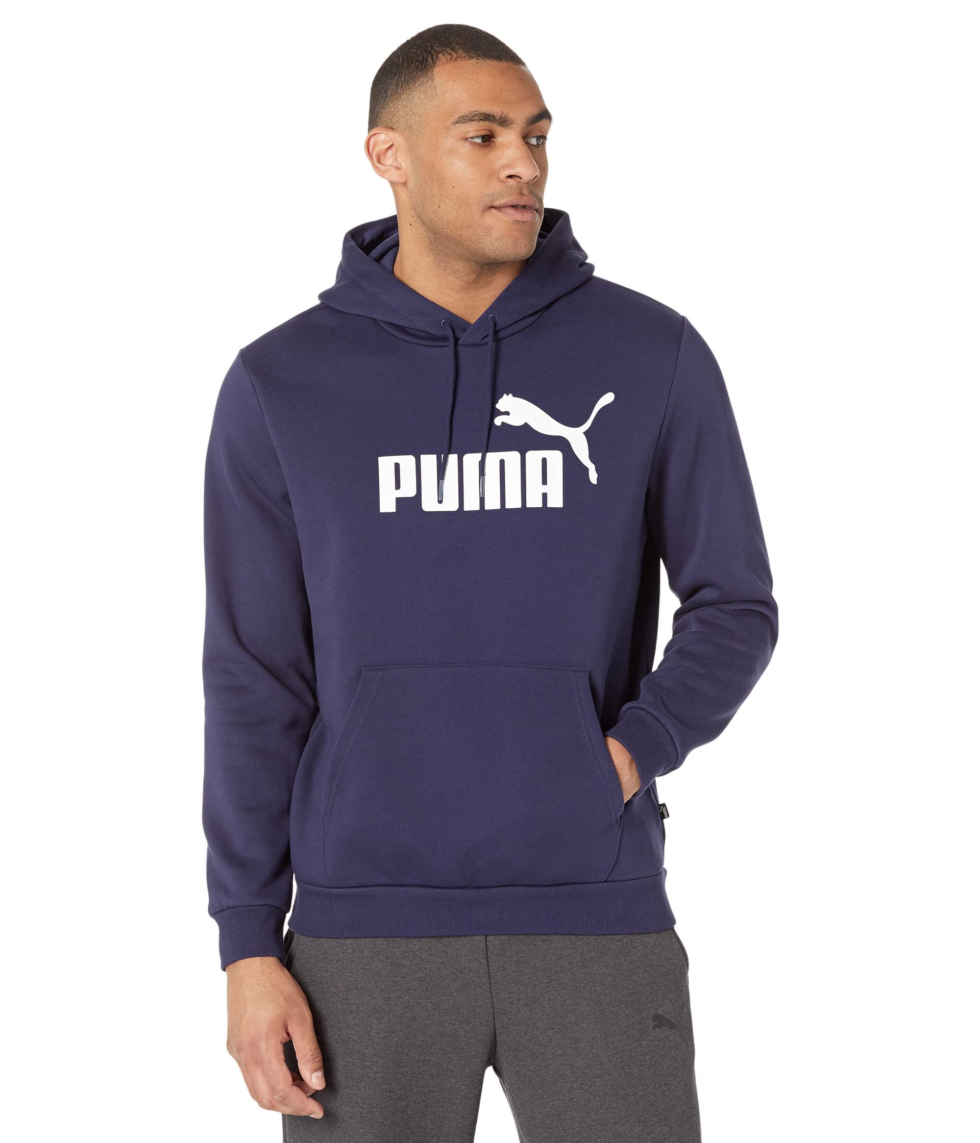 mens Essentials Logo Fleece Hoodie (Available in Big & Tall)