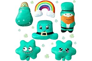 6 Pcs St. Patrick's Day Gifts Irish Gifts Leprechaun Stuff