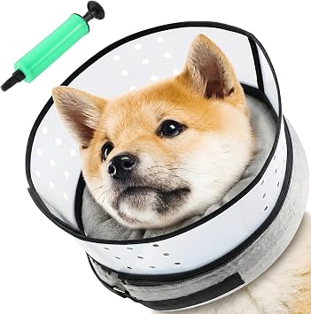 Inflatable Dog Cone Collar with Shield, Adjustable, Neck 12-15 in