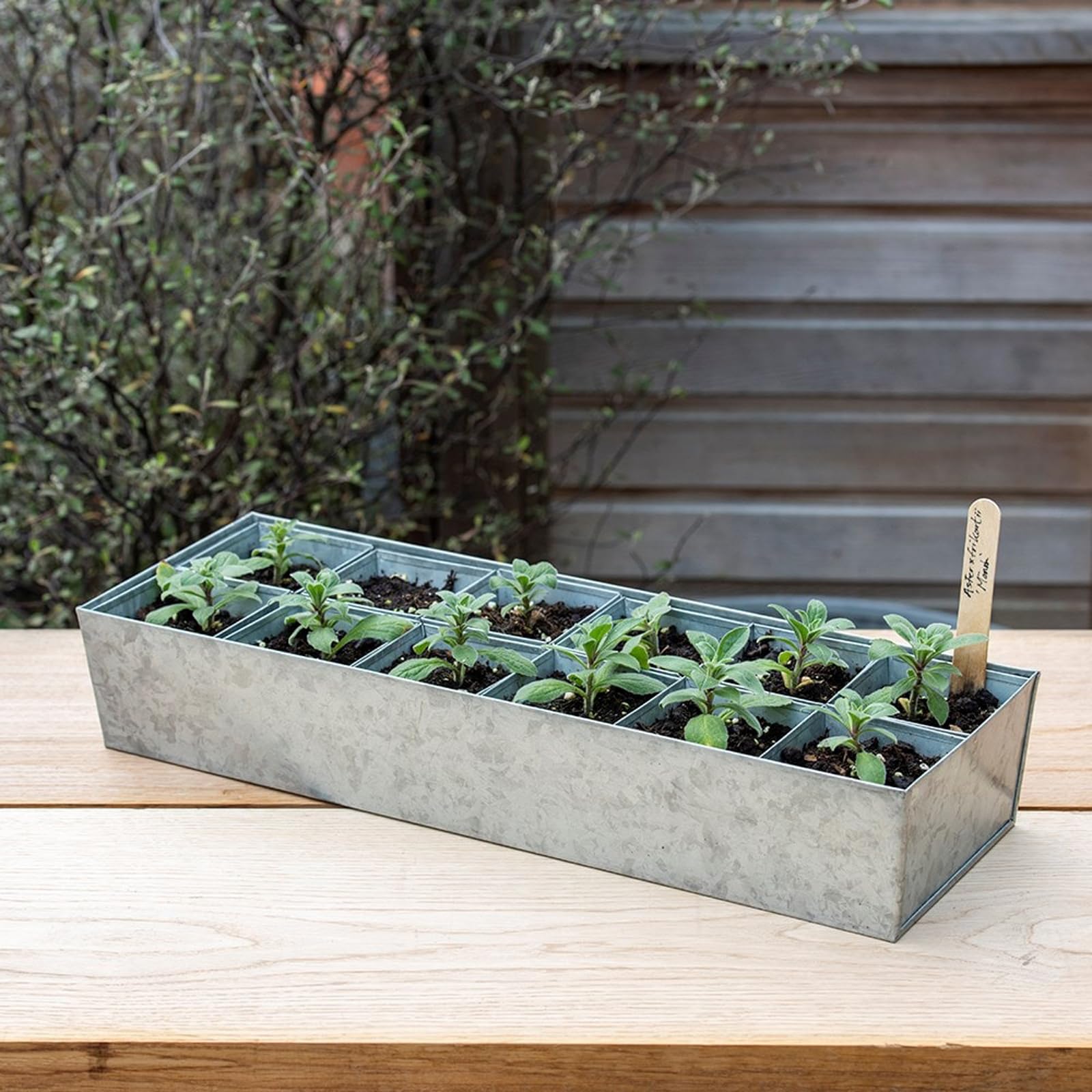 Crocus Collection Set of 12 Metal Galvanised Grow Pod Planters Square Bottomless Pots in Rectangular Reservoir Tray