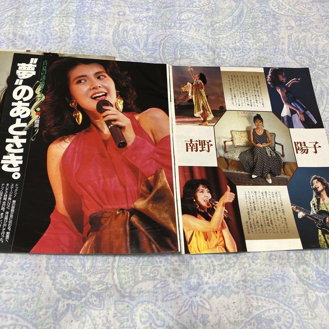 Amazon.co.jp: 南野陽子23歳の超可愛い切り抜き2個セット超1991年