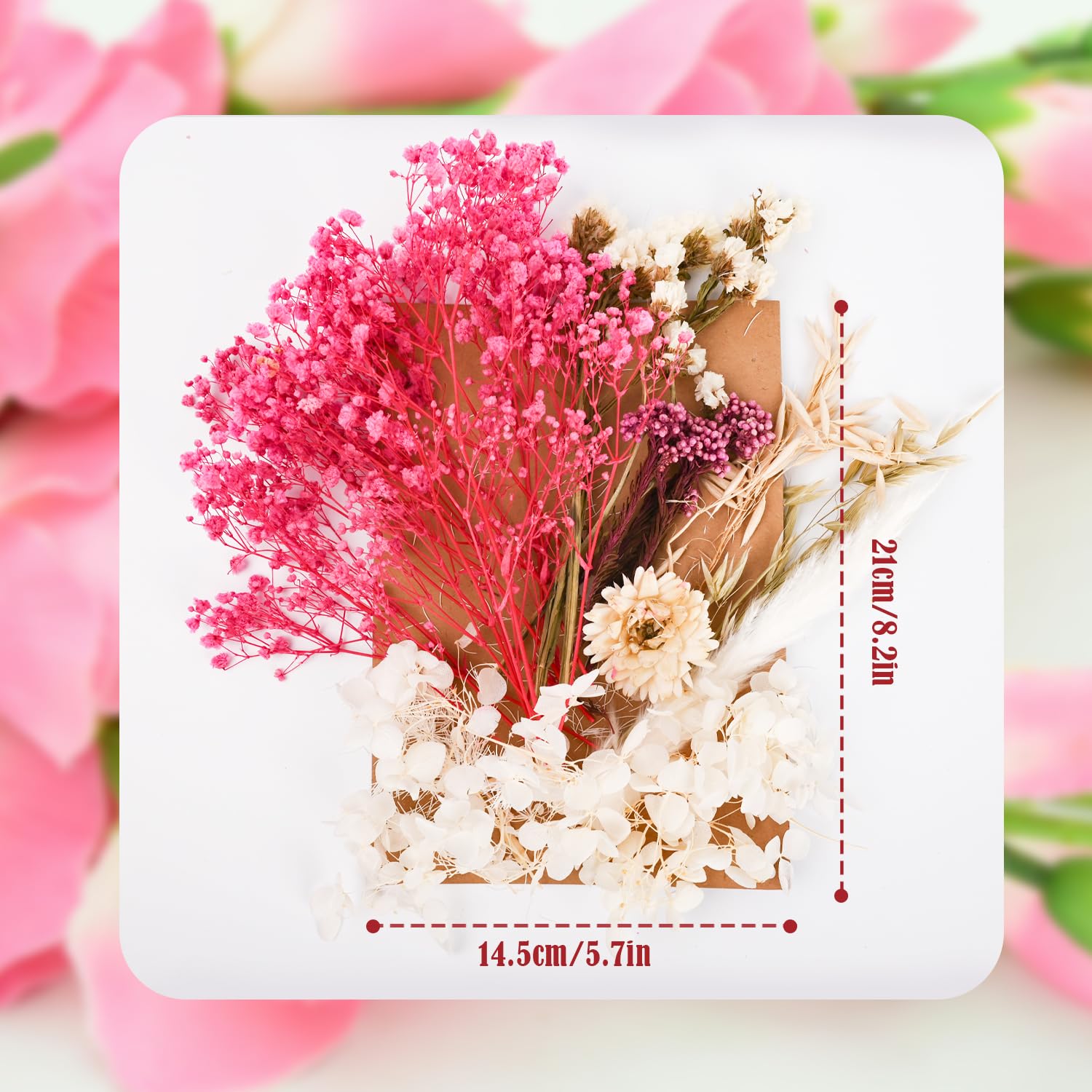 Dried Flowers - Image 2