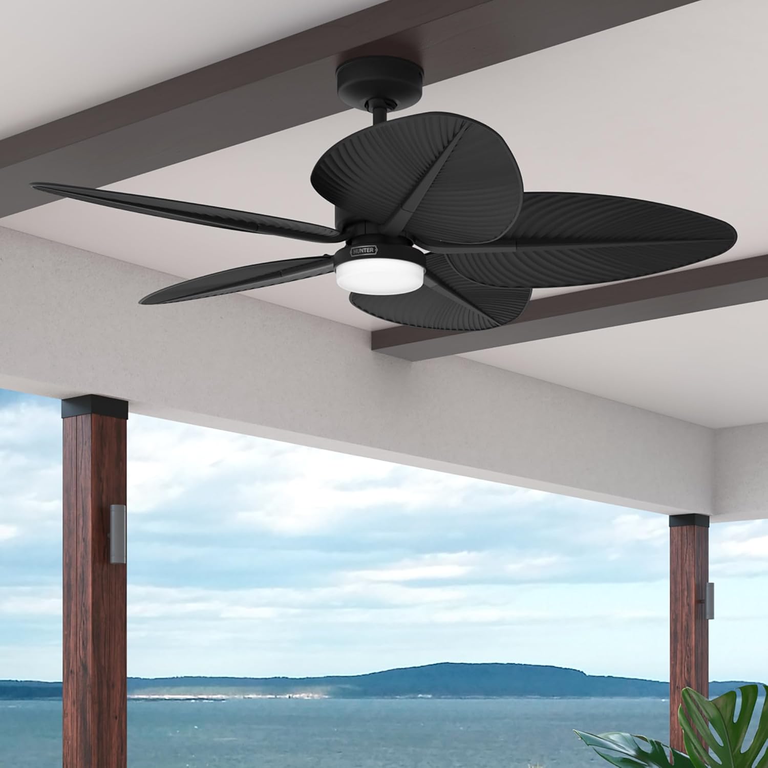 Hunter - Tropic View Indoor/Outdoor Ceiling Fan With Light, Wall Control, 52-inch Coastal-style, 6-speed DC Motor, for porches, patios, sunrooms, bathrooms (Matte Black)