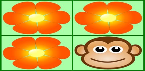 Odd one out what does not belong