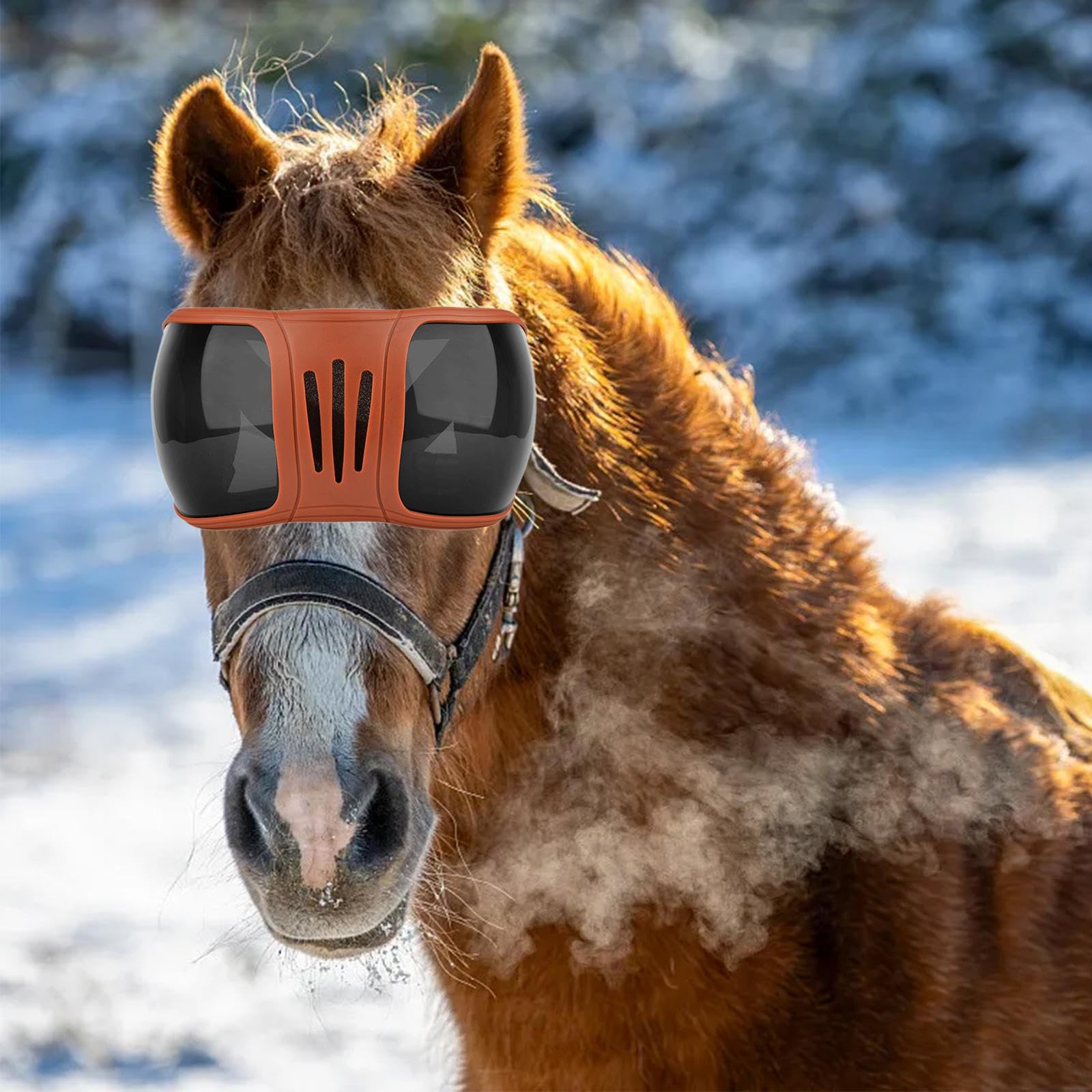 Gafas para Equitación Lentes Protectores para Caballo Prevención de Polvo Protección Solar Montura Ajustable Adecuado para Paseos al Aire Libre