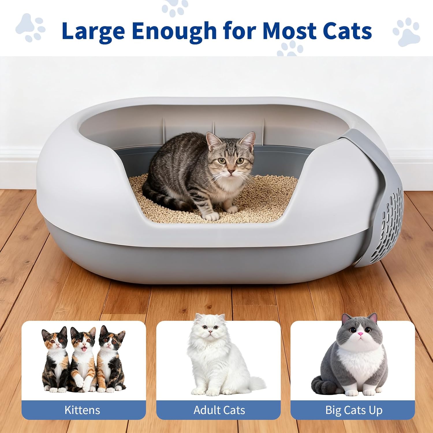 Basics Large Cat Litter Box with High Sides | Enclosed Kitty Litter with Lid for Big Cats | Sifting Type Alternative, Includes Scoop, 23.62x16.14x9.06 Inches, Grey/White (Fits XL Needs)