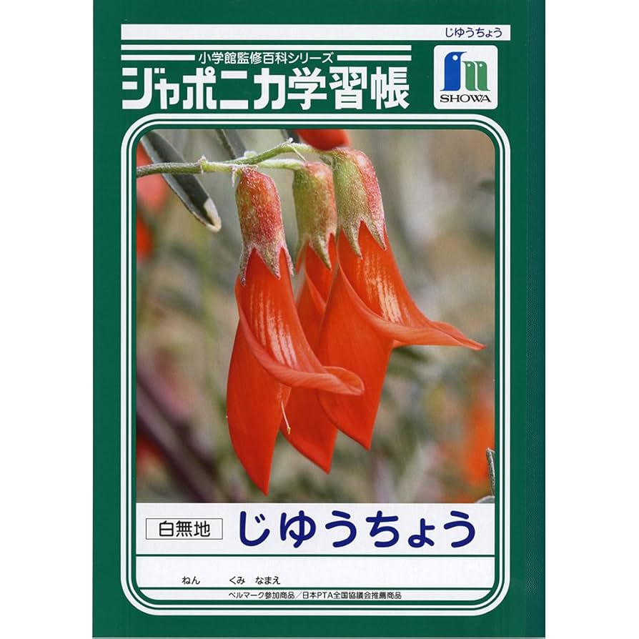 Amazon.co.jp: ショウワノート 学習帳 ジャポニカ 自由帳 白無地
