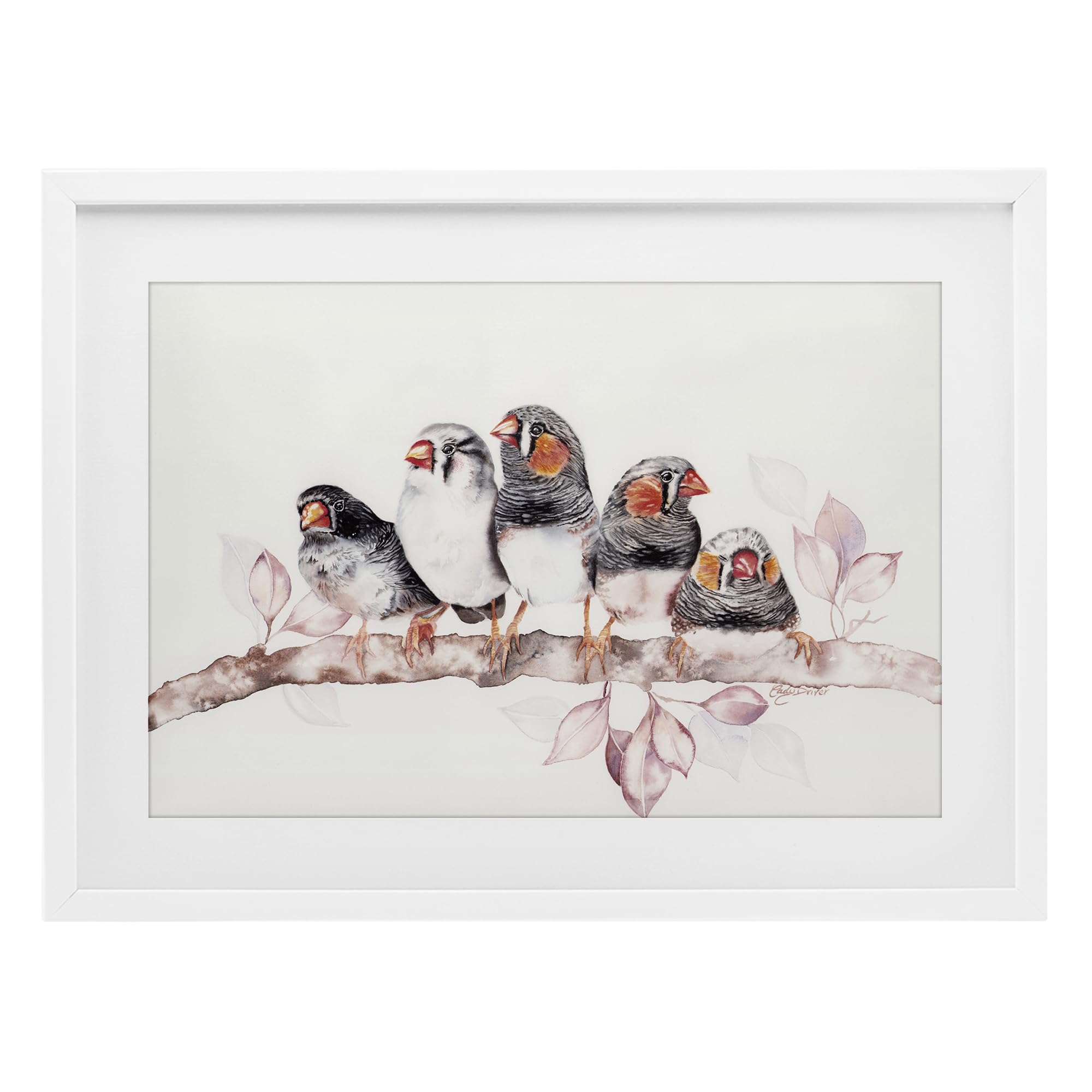 Stupell Industries Five Birds on Branch Black Framed Print Under Glass, design by Cady Driver, 17 x 23