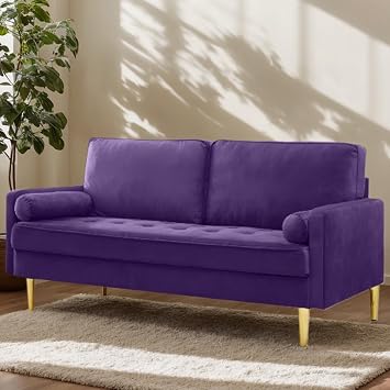 HRVEOCEI 65 Inch Purple Velvet Couch, Small Loveseat Sofa & Office Sofa for Small Space, Smalls Couch for Bedroom Livingroom, 2 Pillows, Gold Legs, Tufted Seat Purple