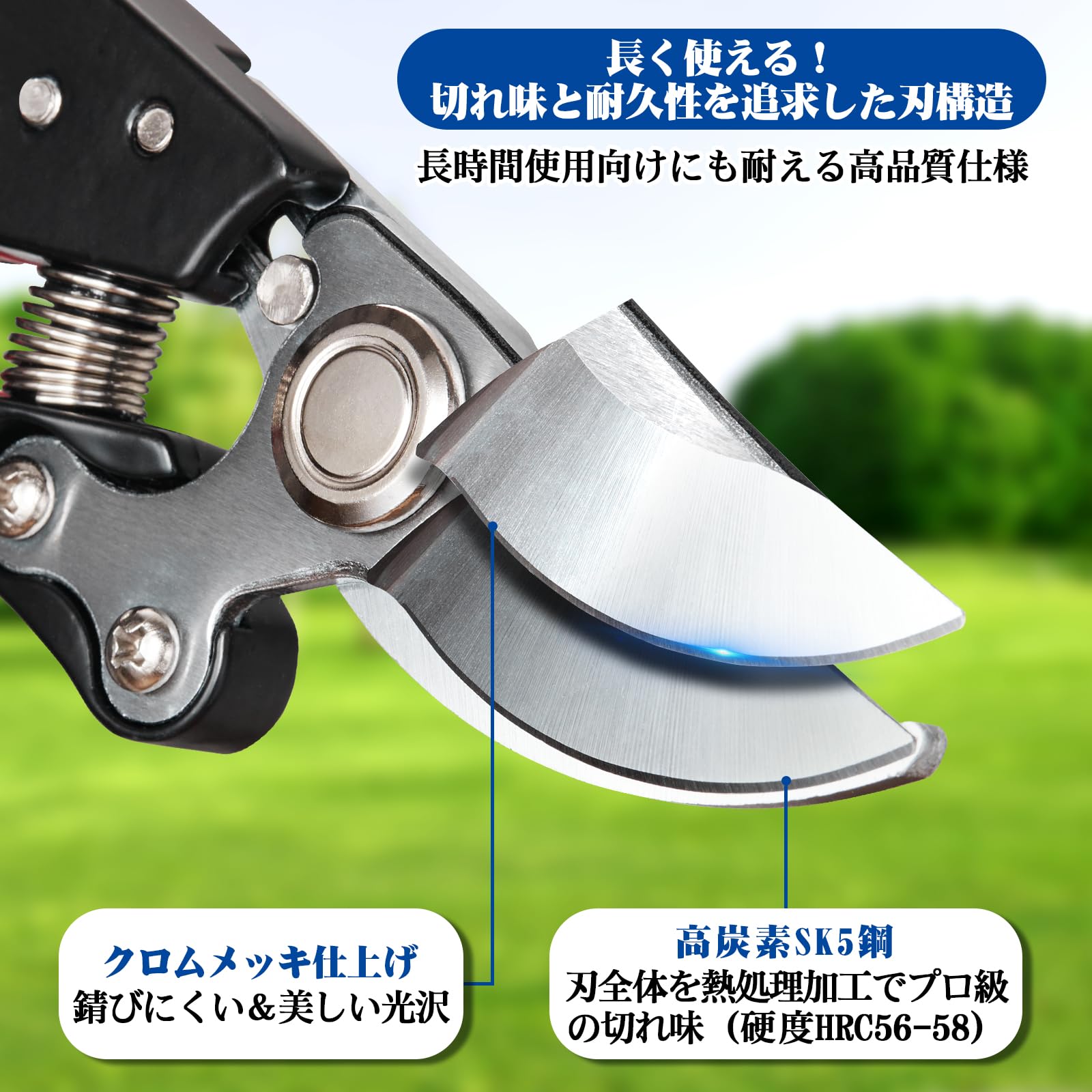 Amazon | 【2025人気庭師おすすめの剪定バサミ】Toolwiz 剪定ばさみ