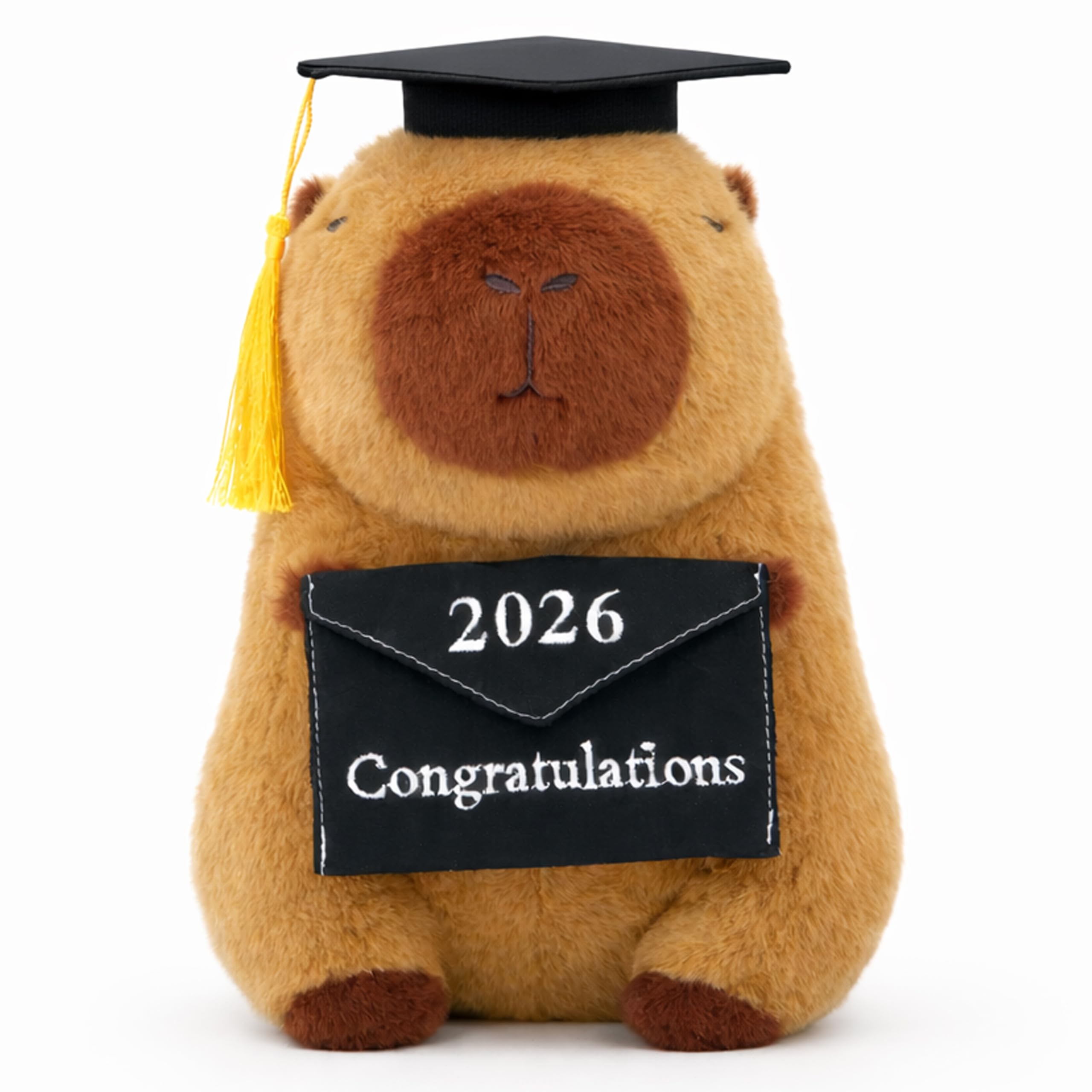 Amazon.com: UNIMV Graduation 2026 Capybara Plush Toy, 9 Inch