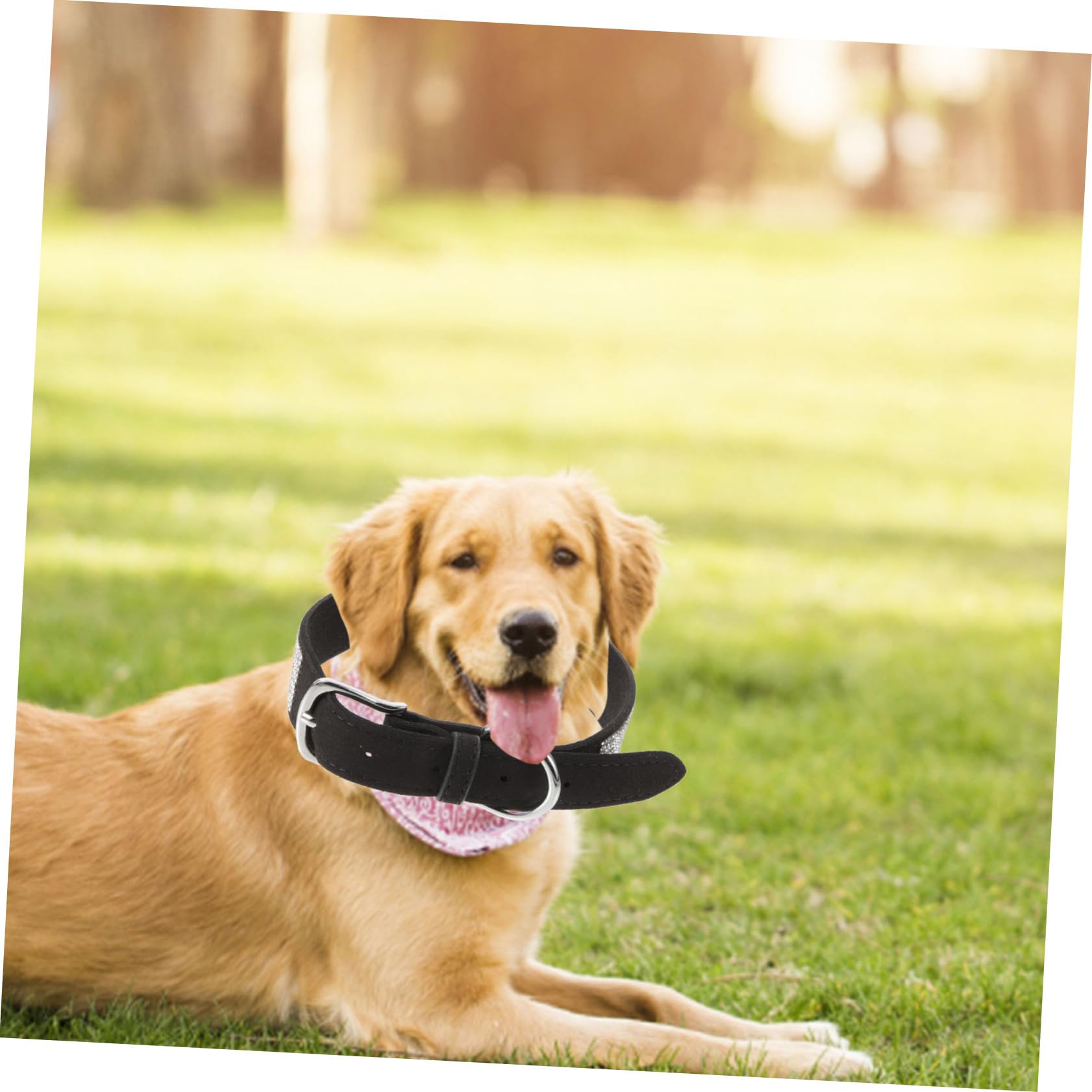 SUPVOX 3pezzi Pet Bow Tie Collar Con Strass Collare Per Cani e Gatti Nero Xl Accessorio Elegante e Confortevole Per Animali Domestici Per Foto e Occasioni Speciali