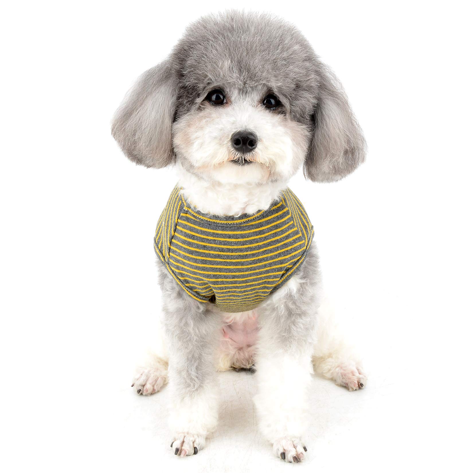 Ropa Perros Zunea Camisas Para Perros Pequeu00f1os, Ropa De Verano