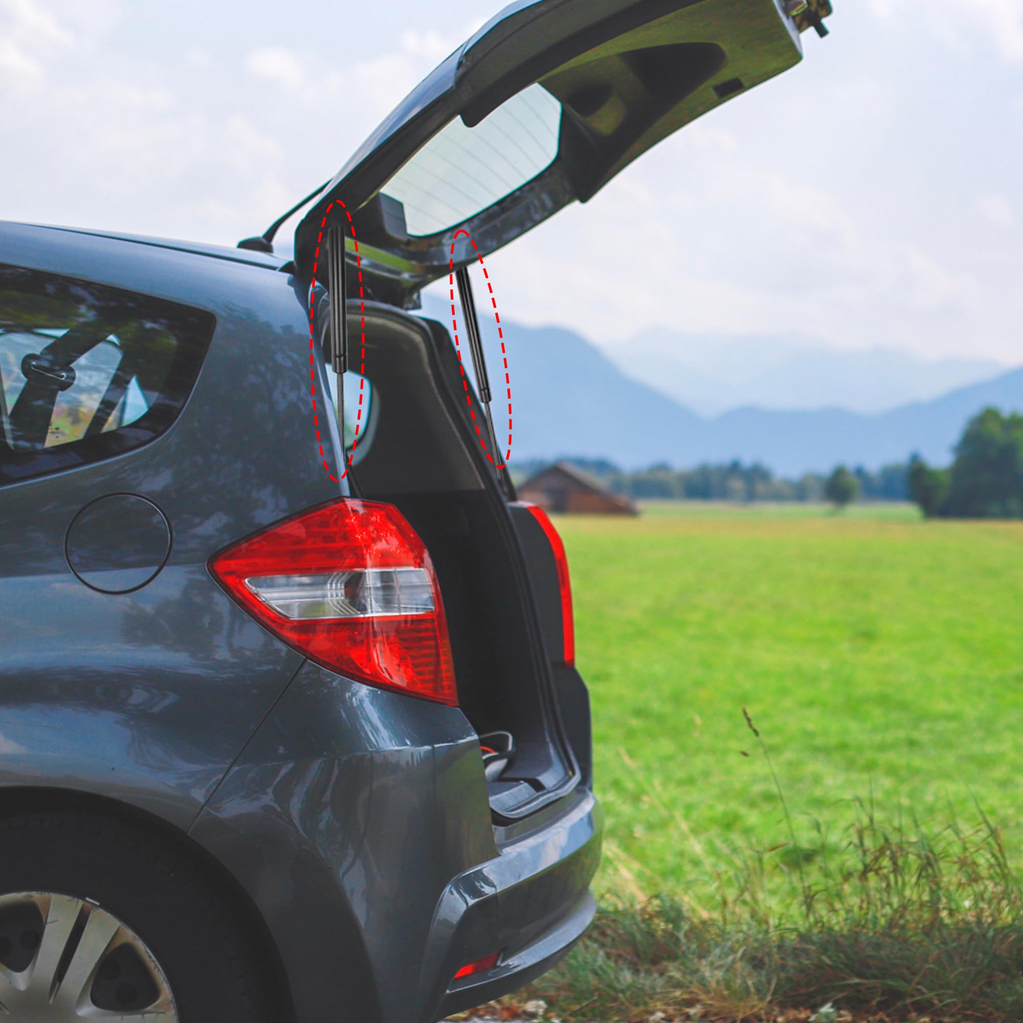 Supporti A Gas Per Portellone Posteriore Fiat Punto/Grande Punto - Set Di 2, Acciaio, 43.5 Cm - 4