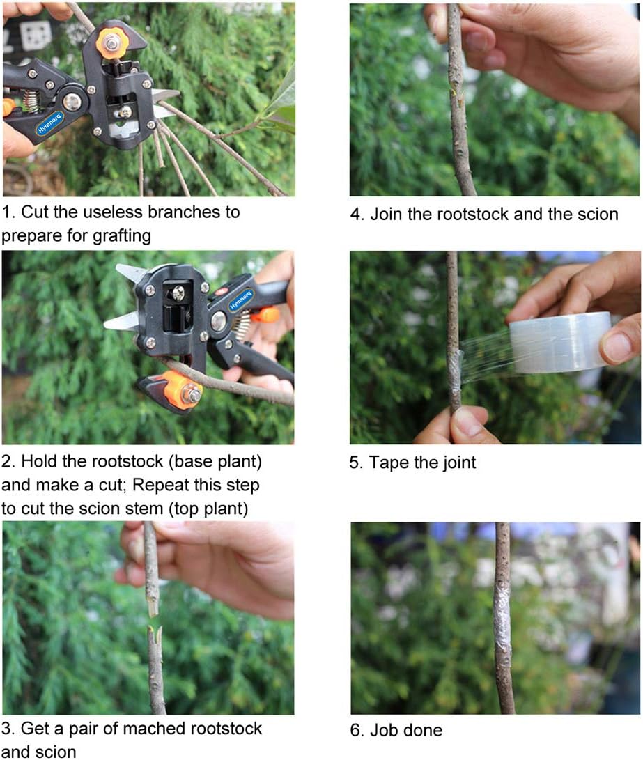 Hymnorq Garden Fruit Tree Professional Pruning Shears Grafting Cutting Tool With 3 Replaceable Blades