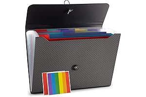 File Organizer: Your Storage Superhero with 13 Pockets