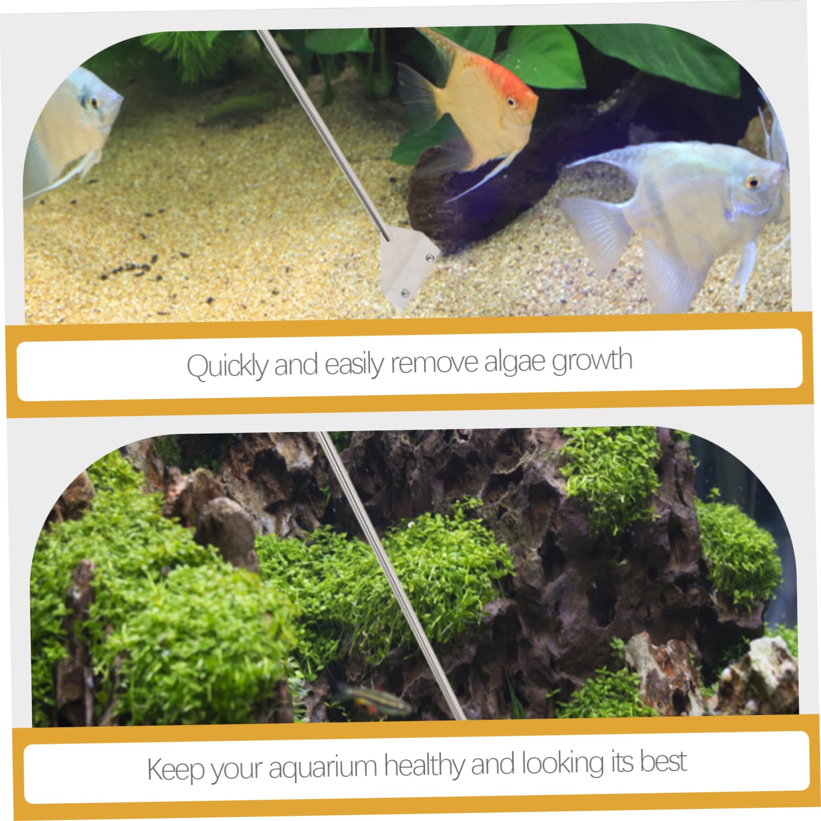 Aquarium Werkzeugset für Wasserpflanzen, 1 Satz Metall, Silber