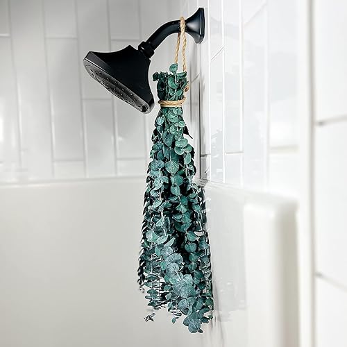 Miniatura 2 de FLOKAY - Paquete de ramas de eucalipto secas frescas, 12 piezas17 pulgadas, tallos de eucalipto preservados naturales reales para decoración del