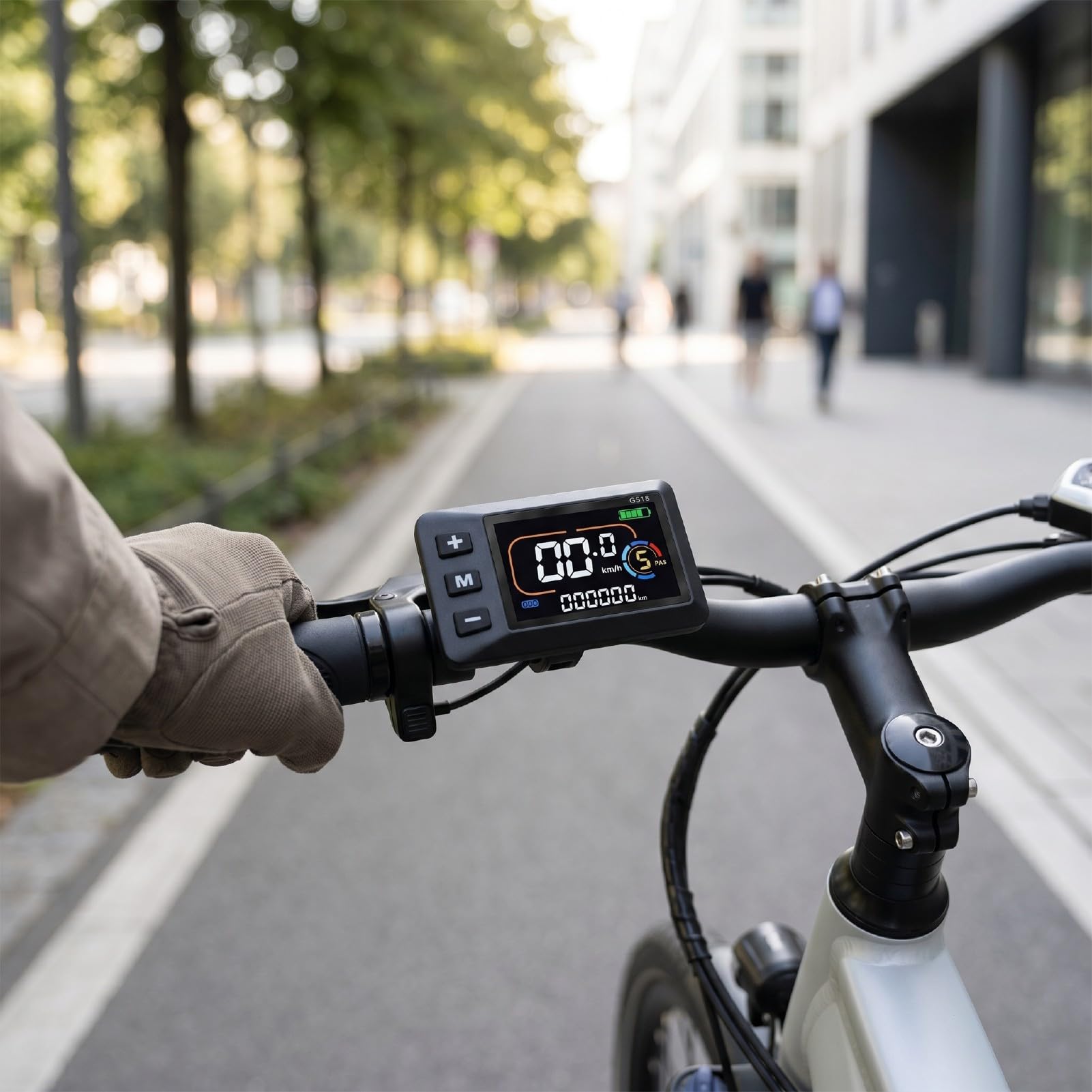 Asixxsix Reemplazo de Pantalla LCD de Bicicleta Eléctrica