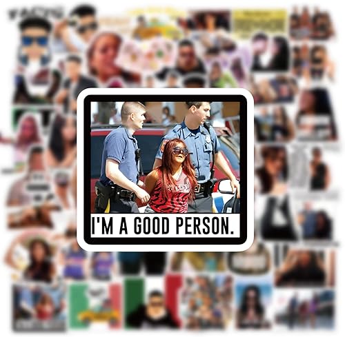 Miniatura 9 de Paquete de 62 calcomanías de Jersey Shore, vinilo estético impermeable para botella de agua, laptop, teléfono, casco duro, monopatín, álbumes de