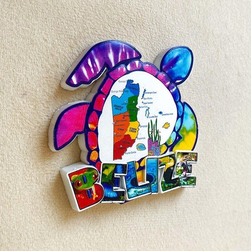 Imán decorativo 3D tortuga marina con mapa, resina miniatura 4