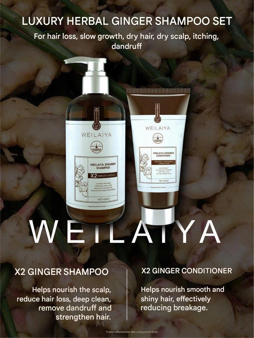 Weilaiya New Version 2025 Luxury X2 Ginger Essence Zingiber Hair Growth, Prevent Hair Loss, Anti Aging Scalp Shampoo 420mL & Conditioner 200mL (Brown Set) For Dry/Sensitive Scalp Unisex men & women
