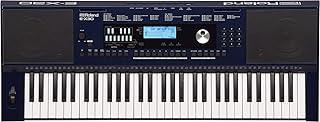 Arranger Keyboard E-X30